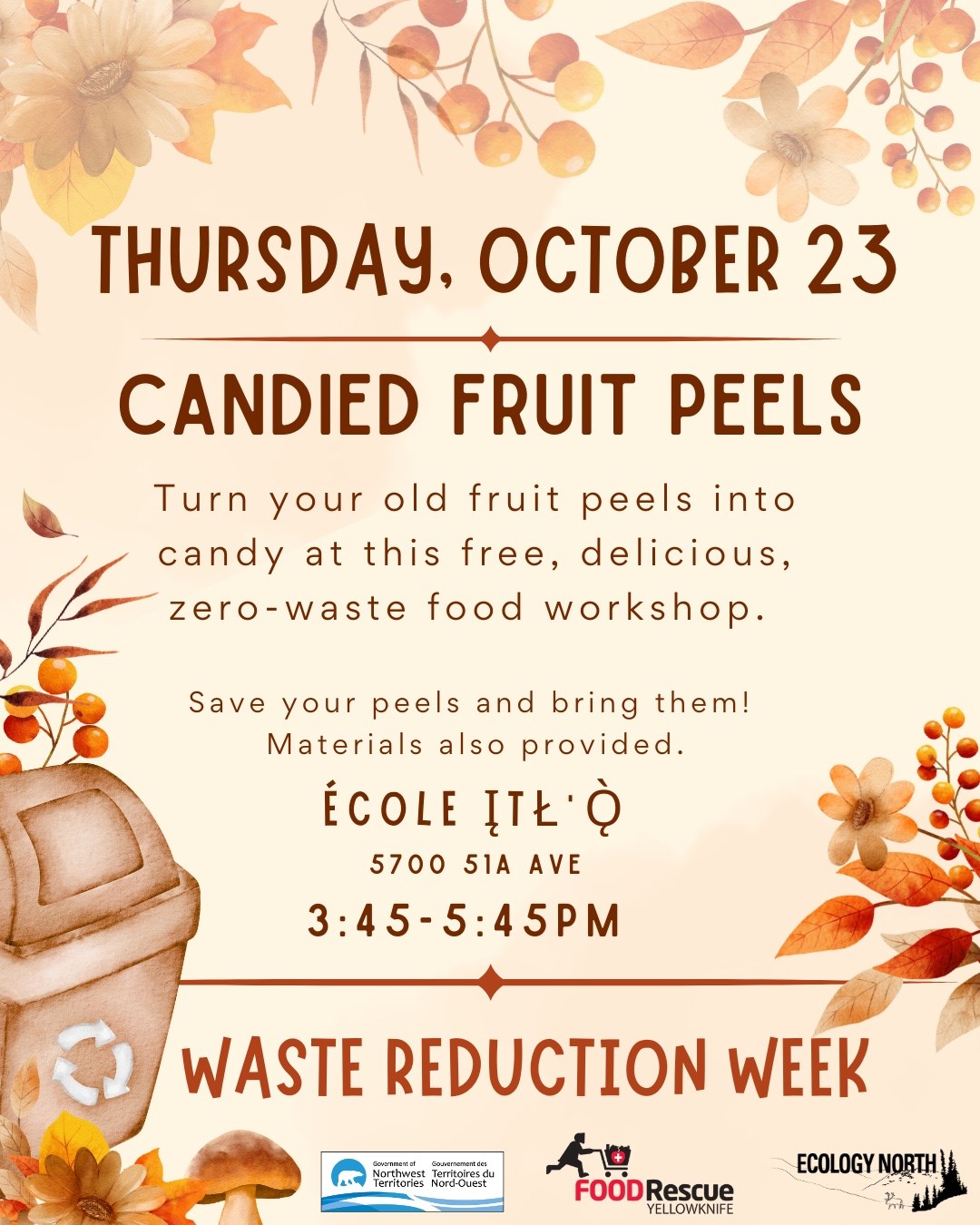 Candied%20Fruit%20Peels%20Poster%20(1).jpg