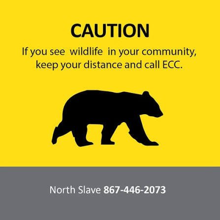 bear-aware-1.4c8405130511.jpg