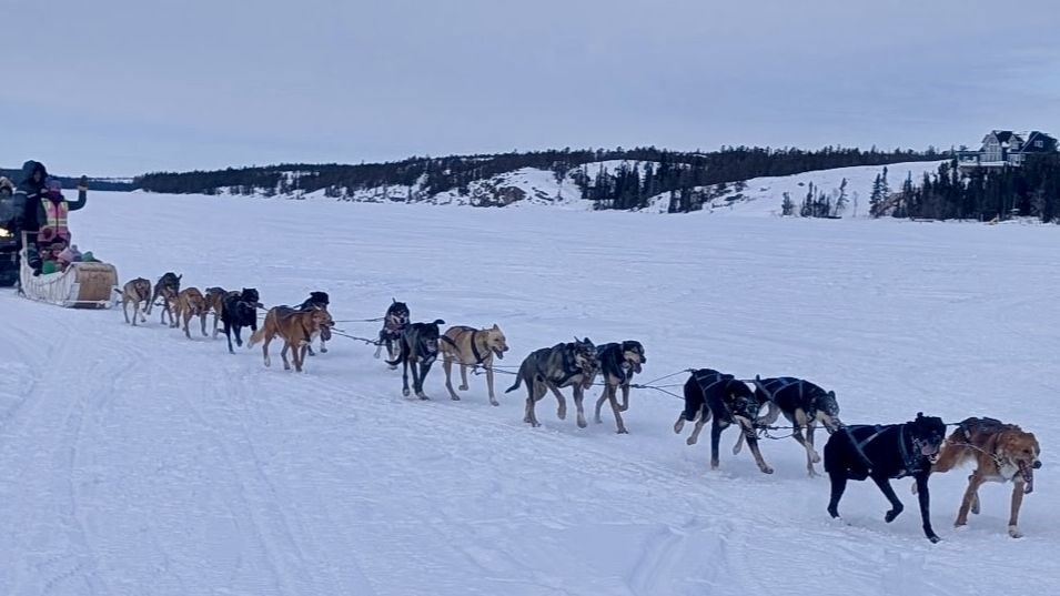 dog sledding